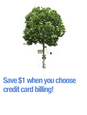 Save $1 with credit card billing