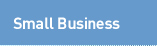 Small and Medium Business